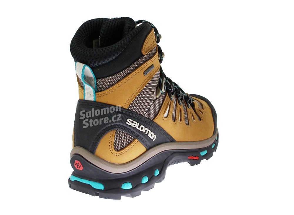 salomon 4d gtx boots